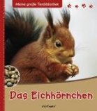 Das Eichhörnchen - Stéphanie Ledu-Frattini